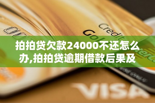 拍拍贷欠款24000不还怎么办,拍拍贷逾期借款后果及解决方法