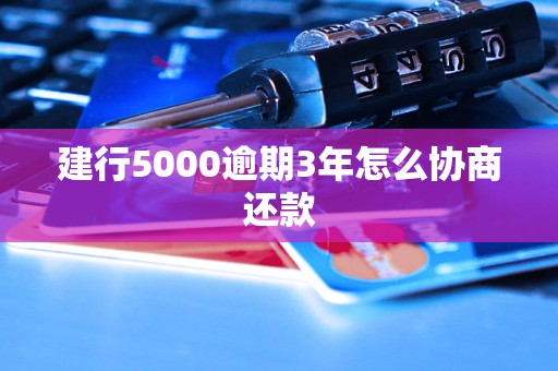 建行5000逾期3年怎么协商还款