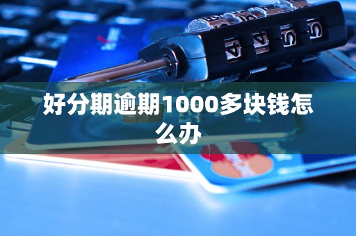 好分期逾期1000多块钱怎么办