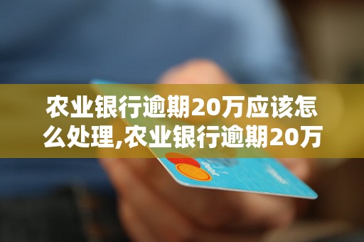 农业银行逾期20万应该怎么处理,农业银行逾期20万的后果及解决方法