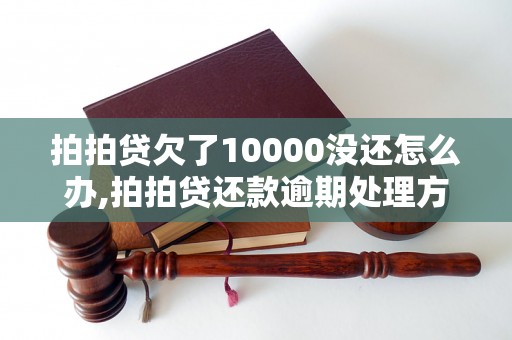 拍拍贷欠了10000没还怎么办,拍拍贷还款逾期处理方法