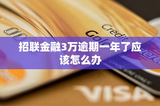 招联金融3万逾期一年了应该怎么办