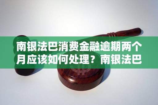 南银法巴消费金融逾期两个月应该如何处理？南银法巴消费金融逾期两个月后果严重吗？