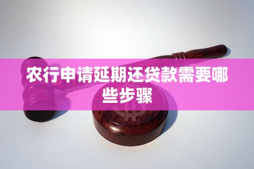 农行申请延期还贷款需要哪些步骤