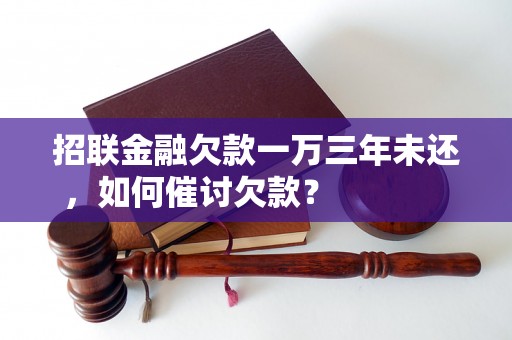 招联金融欠款一万三年未还，如何催讨欠款？                    招联金融欠款三年未还，如何维权？                    招联金融欠款一万三年不还，怎样追讨欠款？                    招联金融借款一万三年未还，如何解决纠纷？                    招联金融欠款三年不还，如何追回欠款？