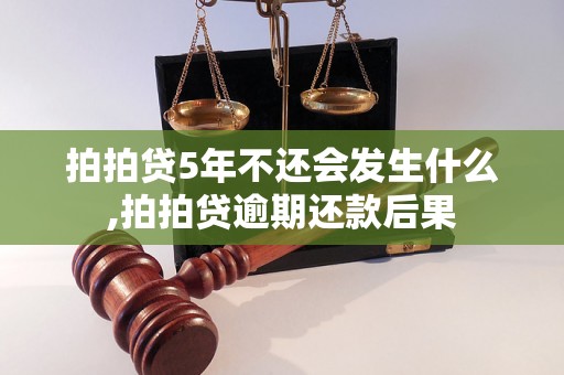 拍拍贷5年不还会发生什么,拍拍贷逾期还款后果