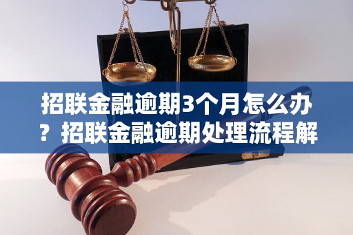 招联金融逾期3个月怎么办？招联金融逾期处理流程解析