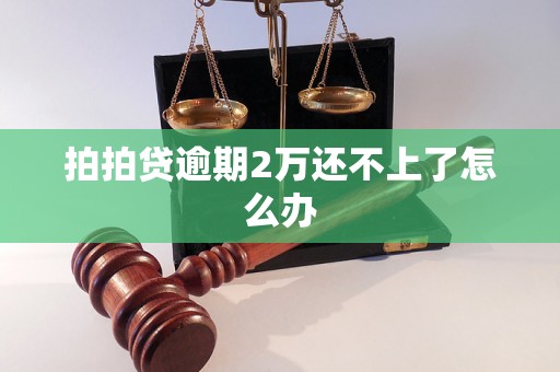 拍拍贷逾期2万还不上了怎么办