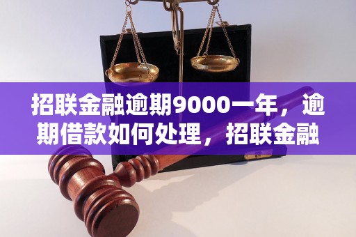 招联金融逾期9000一年，逾期借款如何处理，招联金融逾期还款后果