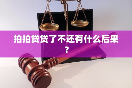 拍拍贷贷了不还有什么后果？