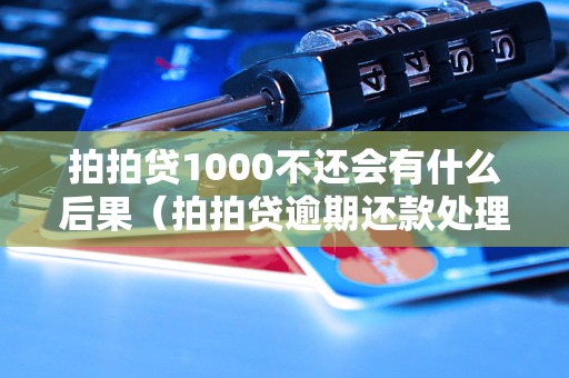 拍拍贷1000不还会有什么后果（拍拍贷逾期还款处理方式）