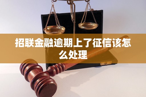 招联金融逾期上了征信该怎么处理