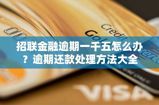 招联金融逾期一千五怎么办？逾期还款处理方法大全