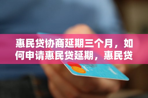 惠民贷协商延期三个月，如何申请惠民贷延期，惠民贷延期申请流程详解