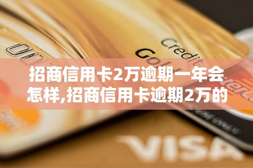 招商信用卡2万逾期一年会怎样,招商信用卡逾期2万的后果