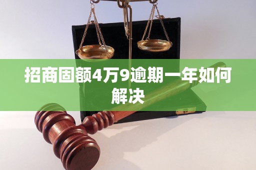 招商固额4万9逾期一年如何解决