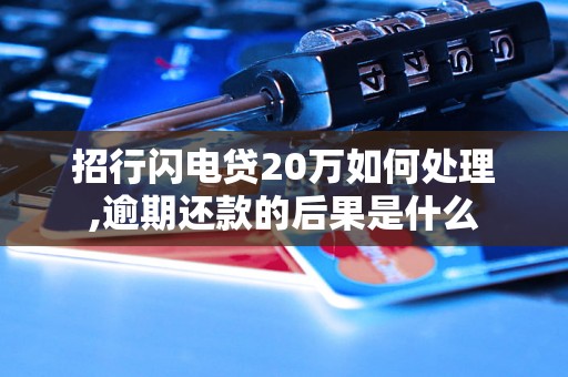 招行闪电贷20万如何处理,逾期还款的后果是什么