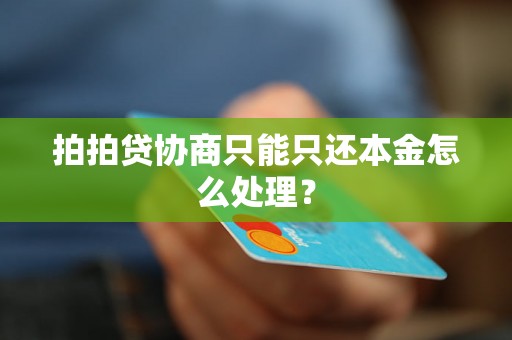 拍拍贷协商只能只还本金怎么处理？