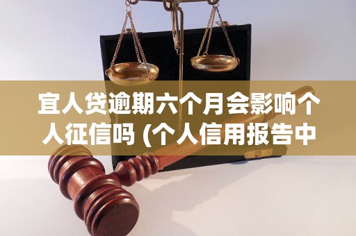 宜人贷逾期六个月会影响个人征信吗 (个人信用报告中会显示宜人贷逾期记录吗)