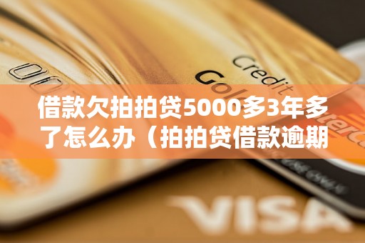 借款欠拍拍贷5000多3年多了怎么办（拍拍贷借款逾期处理方法）