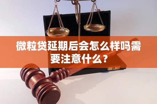 微粒贷延期后会怎么样吗需要注意什么？