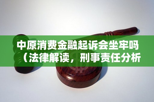 中原消费金融起诉会坐牢吗（法律解读，刑事责任分析）