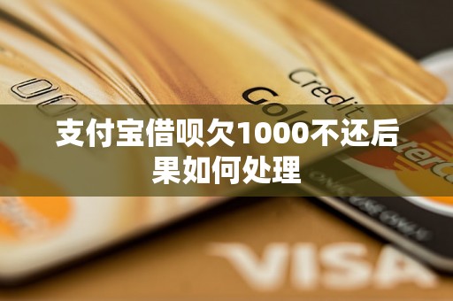 支付宝借呗欠1000不还后果如何处理