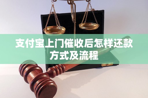 支付宝上门催收后怎样还款方式及流程