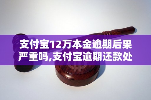 支付宝12万本金逾期后果严重吗,支付宝逾期还款处理方法