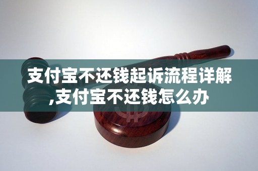 支付宝不还钱起诉流程详解,支付宝不还钱怎么办