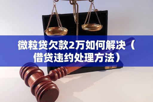 微粒贷欠款2万如何解决（借贷违约处理方法）