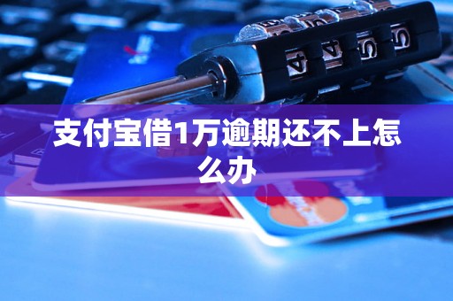 支付宝借1万逾期还不上怎么办