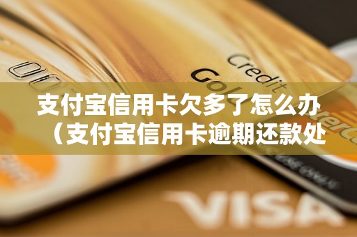 支付宝信用卡欠多了怎么办（支付宝信用卡逾期还款处理方法）