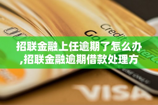 招联金融上任逾期了怎么办,招联金融逾期借款处理方法