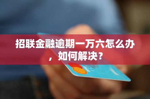 招联金融逾期一万六怎么办，如何解决？