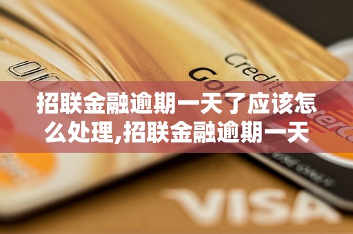 招联金融逾期一天了应该怎么处理,招联金融逾期一天后会有什么后果