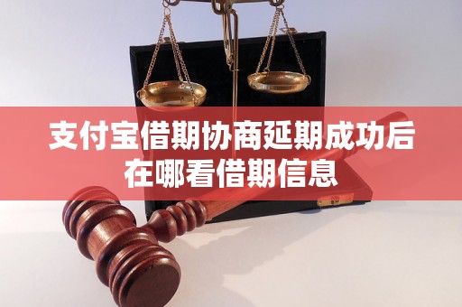 支付宝借期协商延期成功后在哪看借期信息