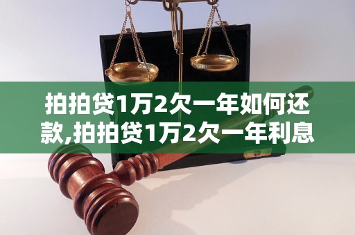 拍拍贷1万2欠一年如何还款,拍拍贷1万2欠一年利息多少