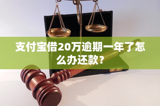 支付宝借20万逾期一年了怎么办还款？