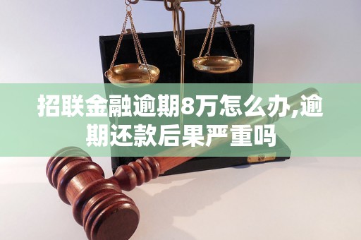 招联金融逾期8万怎么办,逾期还款后果严重吗