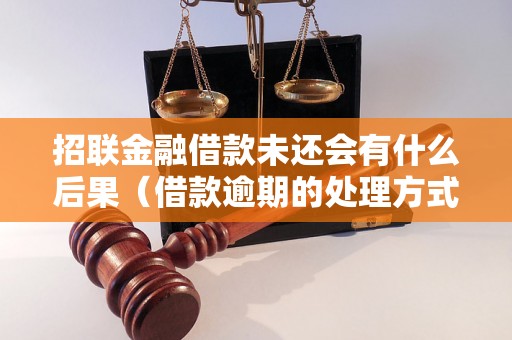 招联金融借款未还会有什么后果（借款逾期的处理方式）