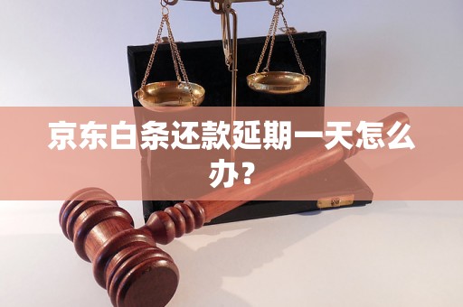 京东白条还款延期一天怎么办？