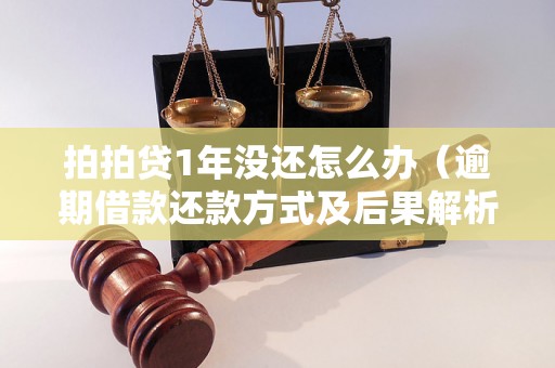 拍拍贷1年没还怎么办（逾期借款还款方式及后果解析）