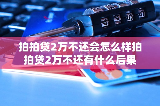 拍拍贷2万不还会怎么样拍拍贷2万不还有什么后果