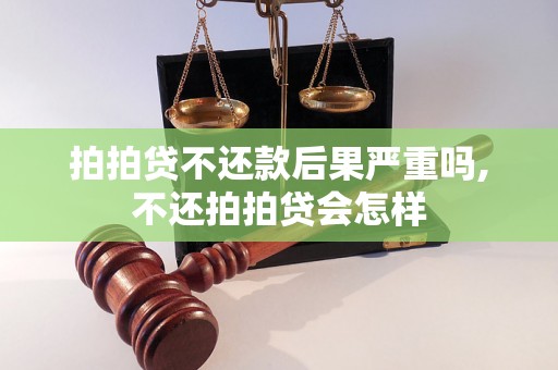 拍拍贷不还款后果严重吗,不还拍拍贷会怎样