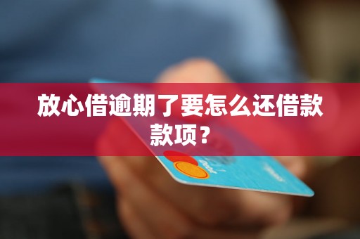 放心借逾期了要怎么还借款款项？