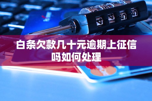 白条欠款几十元逾期上征信吗如何处理