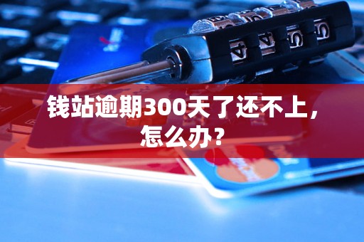 钱站逾期300天了还不上，怎么办？