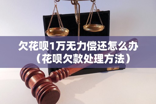 欠花呗1万无力偿还怎么办（花呗欠款处理方法）