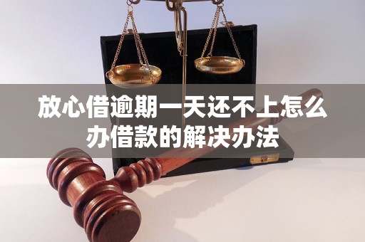 放心借逾期一天还不上怎么办借款的解决办法